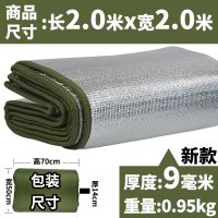 防潮垫加厚户外便携野餐垫防水野餐家用帐篷双单人宿舍睡垫地垫子 新款压纹厚度9毫米长2米宽2米(80%顾客选择)