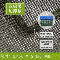 户外郊游防潮垫便携野餐垫加厚野外露营帐篷草坪垫子地垫打地铺睡 [加厚款]-双面铝膜-厚度5mm2.4 *2.4m-送收纳