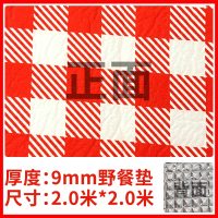 野餐垫铝膜防潮垫牛津野餐布野炊地垫户外便携加厚家用帐篷露营垫 无拼接9毫米加厚2X2米网红状红格子款