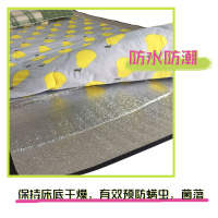 大学生宿舍神器寝室单人上下床透气防潮垫防霉防水床垫野餐垫 (1.5米x2米)卧室小双人床专用