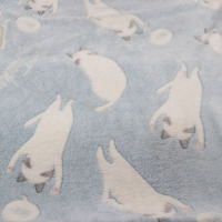 日系宠物四季毛毯 猫咪珊瑚绒毯子狗狗睡觉小毯子狗垫子 办公室毯 天蓝色举手猫 两条减5元(说明项,憋拍)