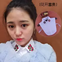 美晶假领子女蕾丝立领假领子秋冬假衬衫领子蕾丝毛衣装饰领百搭 假领子钉珠花开富贵