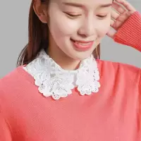 新款蕾丝假领子女秋冬韩版百搭领子甜美花边立领蕾丝装饰领多色 白色刺绣 鸳鸯花