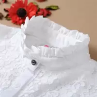 蕾丝假领子2018新品韩版女式假领装饰立领甜美衬衣均码黑白 酒蕾丝白色