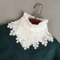 假领子女百搭时尚新款蕾丝雪纺春秋冬季面料舒适搭配毛衣衬衫装饰 雪花片