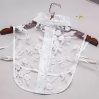 新款假领衬衫百搭蕾丝立领假领子衬衣领子假领假衣领百搭装饰领子 气质(略硬有型)白色欧根纱牵牛花 均码140斤内可穿