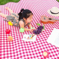 野餐垫ins风网红格子户外地垫防潮垫加厚休闲露营野餐垫 加厚款网红格9MM厚 200*200