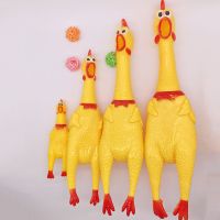 宠物发声惨叫鸡怪叫整蛊发泄狗玩具会叫的绝望的战斗鸡尖叫鸡 全家福(小号+中号+大号+特大号)