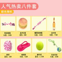 狗狗玩具耐咬中小型犬幼犬磨牙泰迪金毛尖叫鸡发声球套餐宠物用品 人气热卖八件套