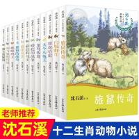 正版促销沈石溪中外名著动物小说霸王龙父子情课外读物书籍 十二生肖动物小说