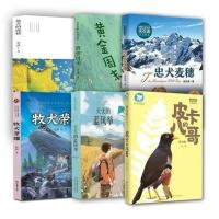 2021寒假阅读全10册5-6年级牧犬荣耀忠犬麦穗皮卡的八哥黄金周末 重点6本全