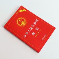 2021版 新中华人民共和国刑法实用版(根据刑法修正案十一修订)