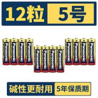 松下5号电池碱性电池7号五七号遥控器儿童玩具干电池鼠标指纹门锁 5号12粒