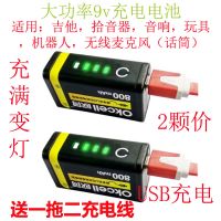 欧荷9V可充电锂电池USB快充万用表玩具吉他拾音器音响麦克风话筒 2节电池+充电线 吉他拾音器音响麦克风