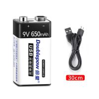 倍量 9v伏锂电池大容量可USB充电万用表吉他话筒仪表仪器6F22锂电 9V650 1节(配USB充电线)