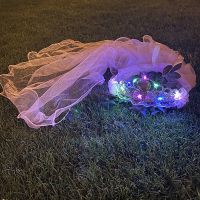 儿童小女孩发光头饰公主头纱皇冠花环长款披纱冰雪奇缘苏菲亚同款 苏菲亚同款(发光粉色) 5个装