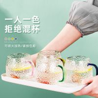 陆怡 简约ins风浮雕玻璃杯锤纹水杯耐热家用喝水杯带把手简约杯子 四色菠萝杯(430ml)