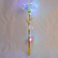 母亲节生日礼物送妈妈发光玫瑰花束康乃馨礼盒中秋节婆婆长辈老婆 彩金带灯带灯+星空盒子 常规款+底座+(结婚证*2)+小熊