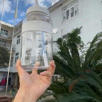 吸管杯水杯超大容量健身运动塑料水壶男女生学生便携背带儿童杯子 雪花白2000mll 杯子+背带吸管十贴纸自选2张