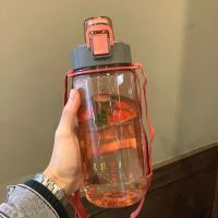 大容量水杯网红韩版可爱吸管杯子学生少女喝水瓶子便携饮水壶防摔 蔷薇红-贴纸 4000ML