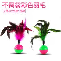 猫玩具老鼠不倒翁逗猫棒逗猫玩具猫咪用品宠物用品小猫猫咪自嗨 羽毛不倒翁(特惠三个装)