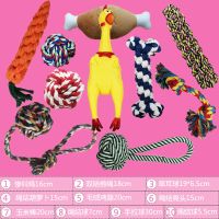 宠物玩具惨叫鸡狗狗磨牙耐咬发声泰迪幼犬金毛大型犬宠物玩具组合 磨牙绳结十件套[颜色随机]