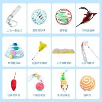 猫玩具自嗨套装激光逗猫棒逗猫笔宠物猫咪用品磨爪老鼠不倒翁玩 逗猫12件全套