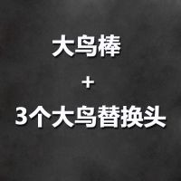 长杆钢丝羽毛逗猫棒替换头猫咪用品猫玩具耐咬逗猫器猫用品 逗猫棒+替换头套餐 H