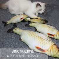 猫玩具仿真鱼猫薄荷逗猫棒自嗨磨牙啃咬发泄宠物毛绒抱枕猫咪用品 仿真鲫鱼60cm(带拉链)