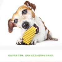 狗狗玩具玉米磨牙棒耐啃咬牙刷狗玩具带绳磨牙锻炼宠物啃咬玩具 玉米玩具+牙膏