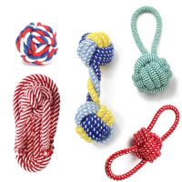 狗狗玩具磨牙洁齿耐咬绳结玩具泰迪金毛训犬用宠物玩具棉绳狗玩具 [q萌C]5件套-85%人的选择 多色随机发