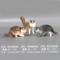 可爱小猫咪摆件儿童塑胶玩具仿真猫咪模型波斯猫加拿大无毛猫礼物 泰国暹罗猫 波斯猫3
