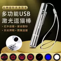 猫玩具usb充电逗猫棒激光图案逗猫笔猫咪用品宠物逗猫玩具 不锈钢色 USB充电款 11.5*1.6CM