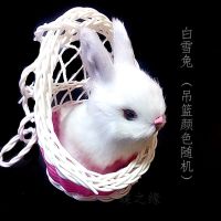 仿真皮毛小兔子小猫咪吊篮筐装饰品摆件小动物玩偶多种组合套装 吊篮+白兔(吊篮颜色随机)