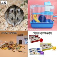 仓鼠宠物情侣一对不咬人宝宝幼崽布丁三线银狐金丝熊好养包活到家 母+小城堡+粮食+木屑 三线+紫仓