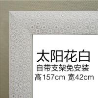 试衣镜子全身落地穿衣镜子宿舍壁挂两用衣镜实木欧式服装店镜子 43cm*157cm太阳花白