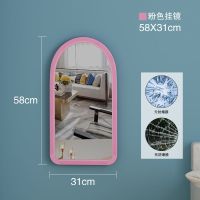 挂镜穿衣镜化妆镜家用挂墙试衣镜壁挂镜子贴墙大镜子 粉色挂镜防爆58X31cm