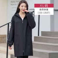 罩衣女上班干活工作洋气成人围裙长袖防水防油污工作服男春秋薄款 黑色 XL码春秋薄款(90斤-135斤)