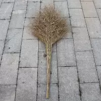 竹丝大扫把扫帚户外庭院环卫家用大街马路工厂专用手工制作竹 2米大扫把4.5斤 老枝