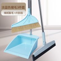 扫把簸箕套装组合家用单个软毛扫帚猪鬃毛扫地笤帚魔术捎把神拖器 猪毛款淡蓝色扫把+簸箕+魔术扫3件套
