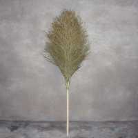 卫洋环卫大扫把竹马路扫竹子户外加大加宽扫院子扫帚竹笤帚竹扫把 1号大号木扫把5至6斤左右