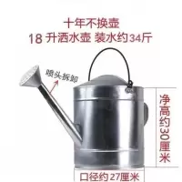 纯手工加厚不锈铁喷壶白铁皮壶浇菜壶浇花喷壶铁皮洒水壶喷壶 18升活动把喷壶+喷头[送铁铲]