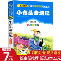 小布头奇遇记注音版 一年级二年级课外书必读正版经典书目孙幼军童话故事书儿童睡前读物带拼音三年级小学生课外阅读书籍老师推荐