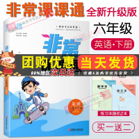 2021春新版通城学典非常课课通六年级下册英语江苏版译林版YL版 小学6年级下同步讲解提优训练实验班辅导书教材全解全析课