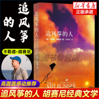追风筝的人正版胡塞尼英文原版中文翻译 高圆圆力荐与摆渡人1984偷影子的人6册同属现当代文学外国随笔小说书籍排行榜