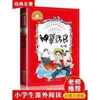 神笔马良二年级下册人教版必读正版注音版 适合一三年级寒假下学期阅读的课外书老师推荐经典书目 小学生故事书洪汛涛著快乐读书