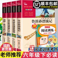 鲁滨逊漂流记六年级尼尔斯骑鹅旅行记正版原著爱丽丝漫游仙奇境汤姆索亚历险记全套小学生版快乐读书吧六年级下册必读课外书