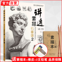 讲透素描石膏像2 吴正聪人物头像五官结构头骨照片对画书籍小卫临摹范本画册联考艺美术绘画基础零入门敲门砖教程学材经典演绎全