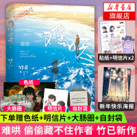 难哄[赠色纸+大肠圈+明信片+自封袋+随书赠品]竹已青春系列代表作 晋江文学言情都市偷偷藏不住作者小说书