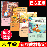 老师推荐]六年级必读课外书 鲁滨逊漂流记爱丽丝漫游奇境尼尔斯骑鹅旅行记汤姆索亚历险记正版全套4册小学生阅读书籍下册经典书